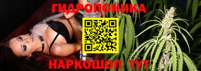 прущая мука Кимры