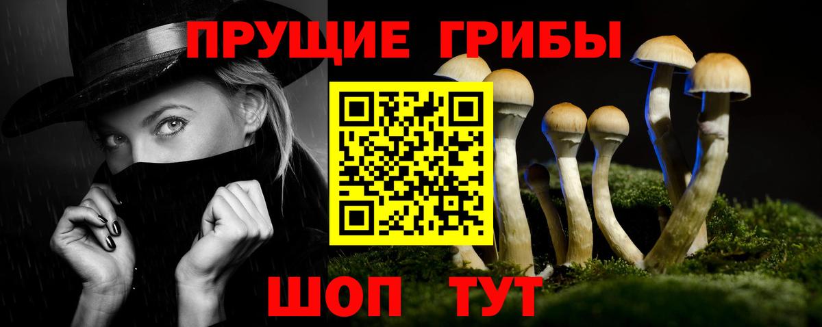Псилоцибиновые грибы прущие грибы  Вход с VPN  магазин  наркотиков  Королёв  Псилоцибиновые грибы Psilocybine cubensis 